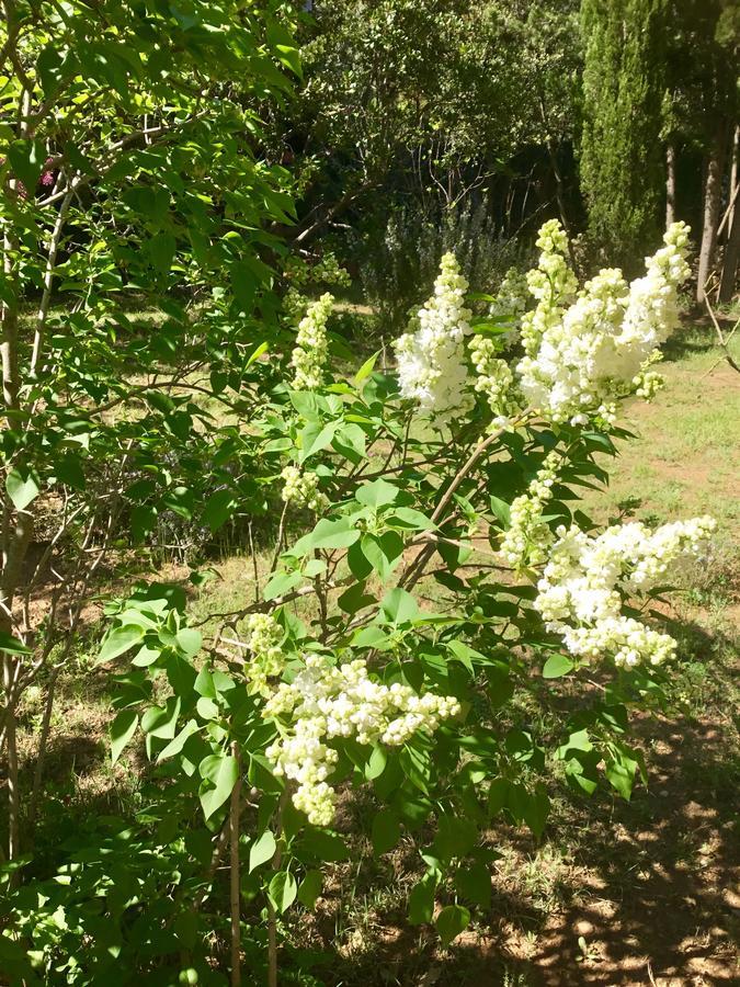 Longo Mai Bed and Breakfast Sillans-la Cascade Εξωτερικό φωτογραφία